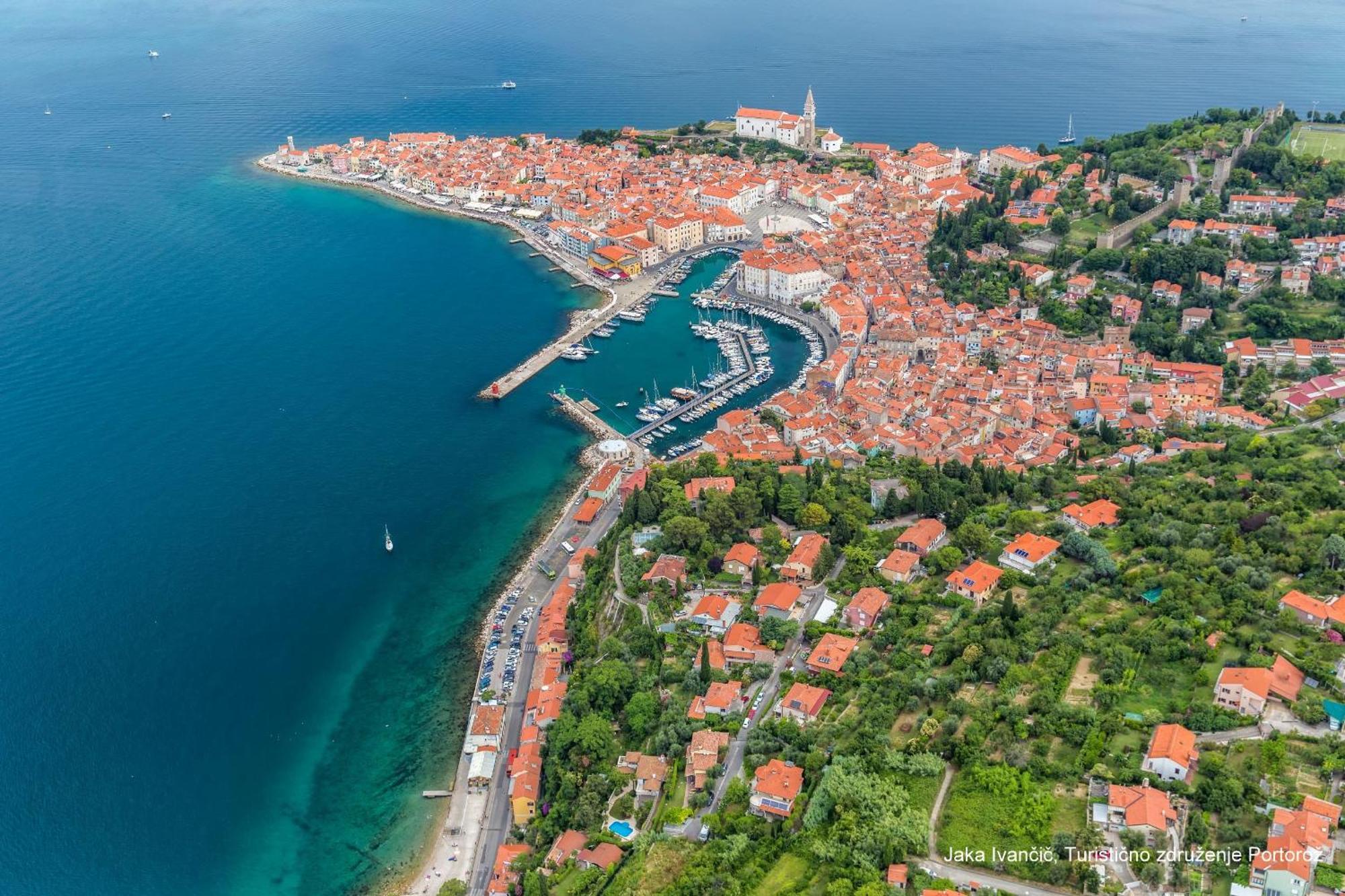 Apartments Souranded By Forest With Sea View Koper Exteriör bild