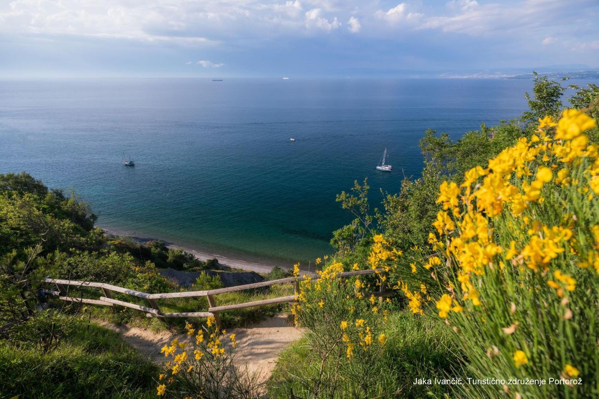 Apartments Souranded By Forest With Sea View Koper Exteriör bild