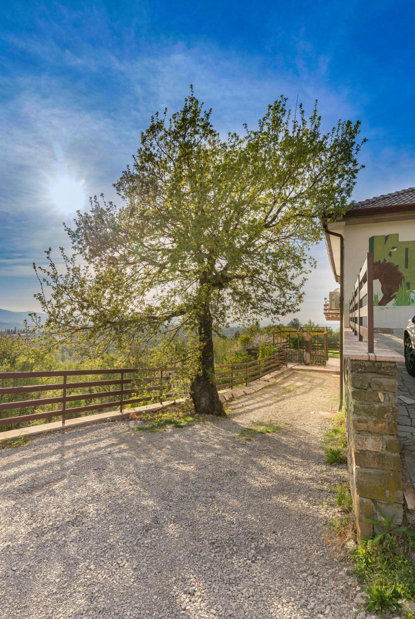 Apartments Souranded By Forest With Sea View Koper Exteriör bild